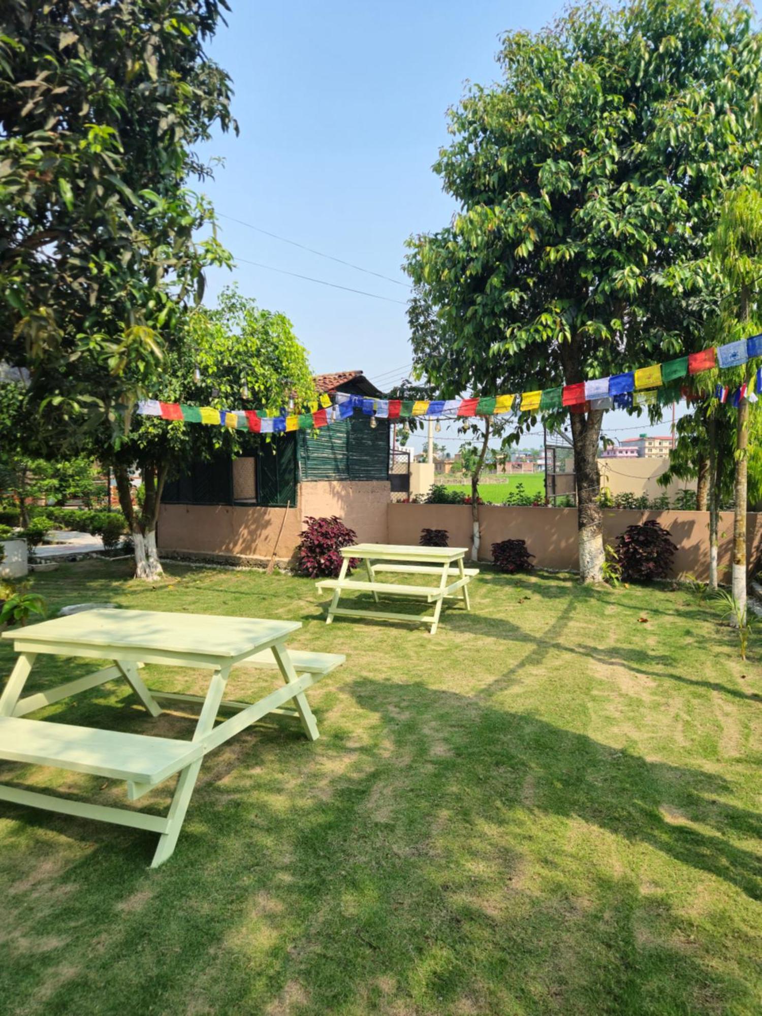 Hotel Tree Tops- A Serene Friendly Hotel In Sauraha Chitwan Exteriér fotografie