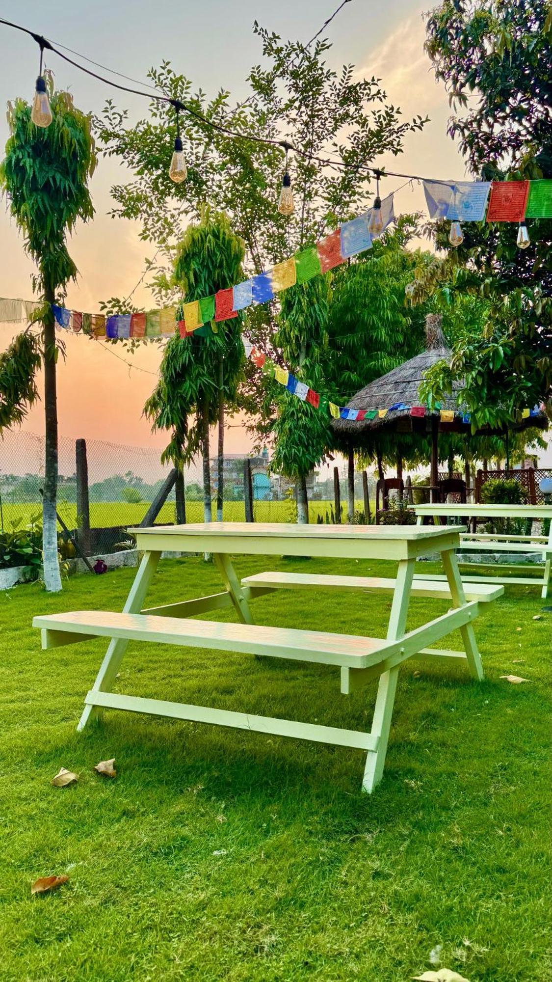 Hotel Tree Tops- A Serene Friendly Hotel In Sauraha Chitwan Exteriér fotografie